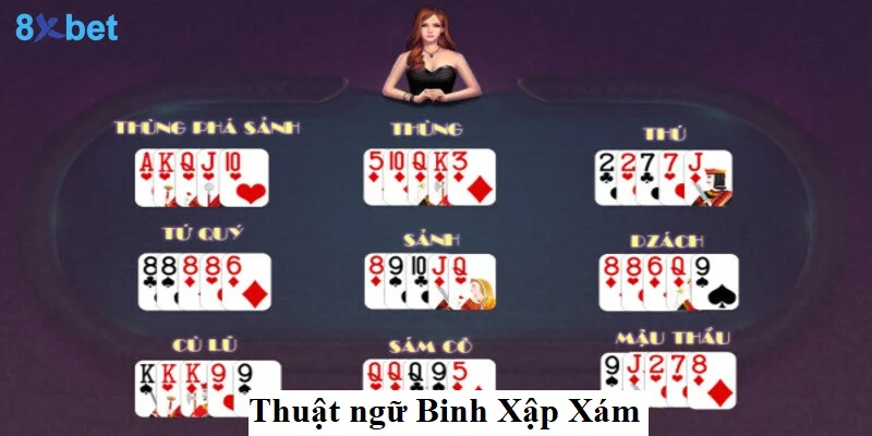 Hướng dẫn chơi Binh Xập Xám 8XBET cho người mới bắt đầu Thuật ngữ gặp khi chơi Binh Xập Xám